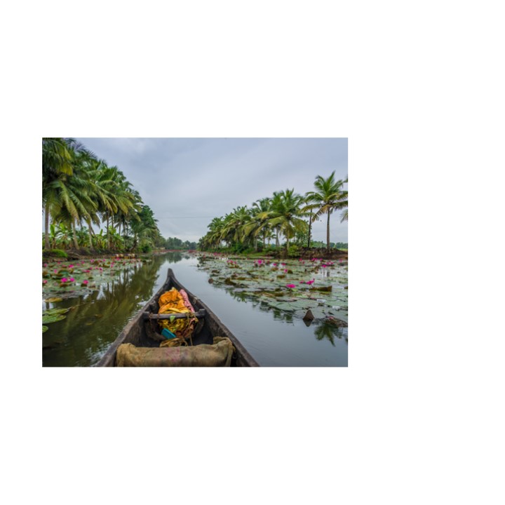 4 Nights 5 Days Kerala Honeymoon Package