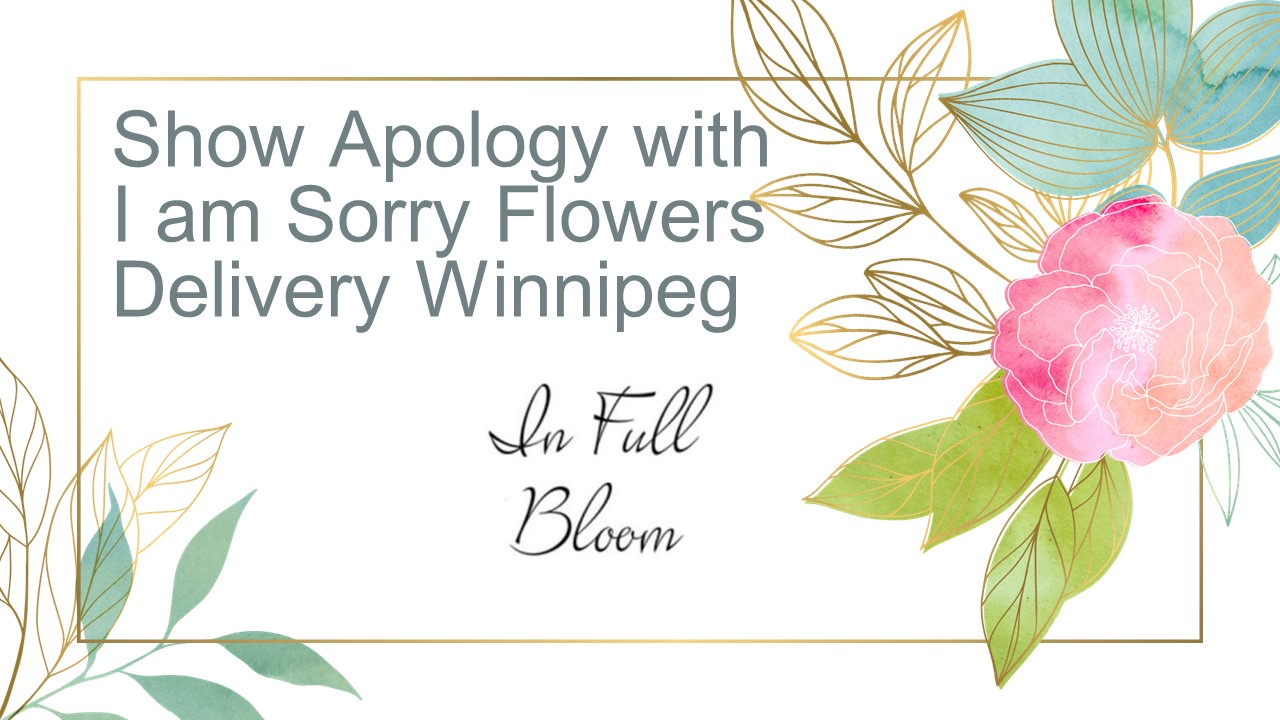 PPT Show Apology with I am Sorry Flowers Delivery Winnipeg PowerPoint