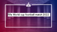 Fifa World cup football match 2022