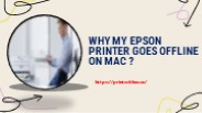 Why is my Epson Printer Offline on Mac Device?