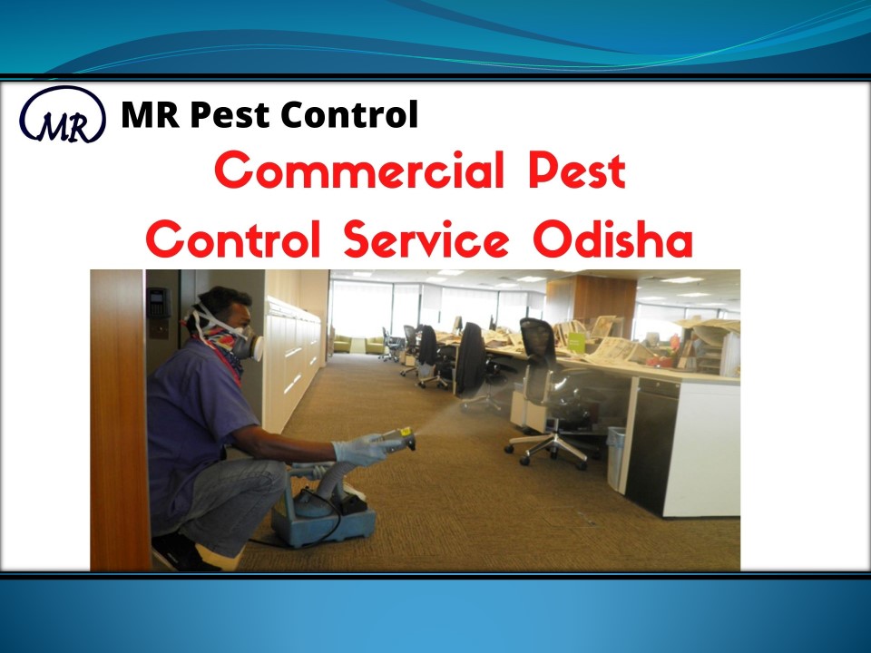 PPT Hello Mosquitoes, Rodents, Flies, & Mice? Get Rid Of Them With Commercial Pest Control