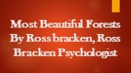 Most Beautiful Forests by Ross Bracken Psychologist