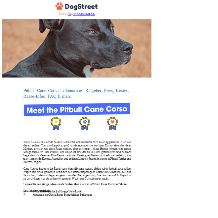 Hunderasse Archives | Kleine Hunderassen | Große Hunderassen