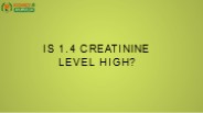 Is 1.4 Creatinine Level High?