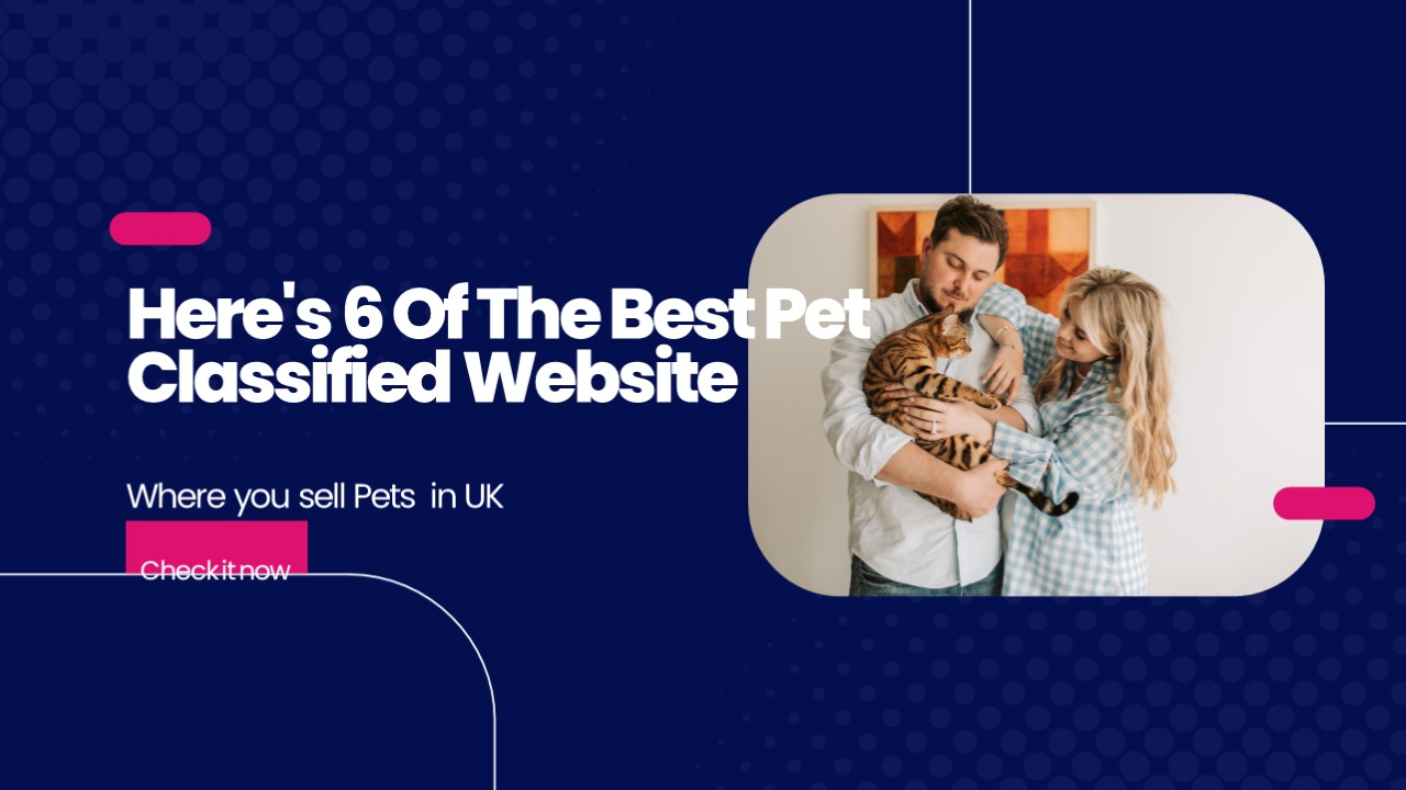 PPT Top 6 Pet Classified sites in UK PowerPoint presentation