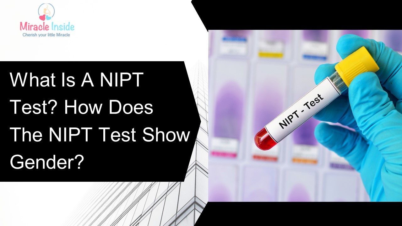 What Is A Nipt Test? How Does The Nipt Test Show Gender?