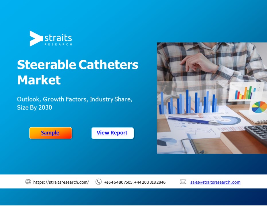 Steerable Catheters Market