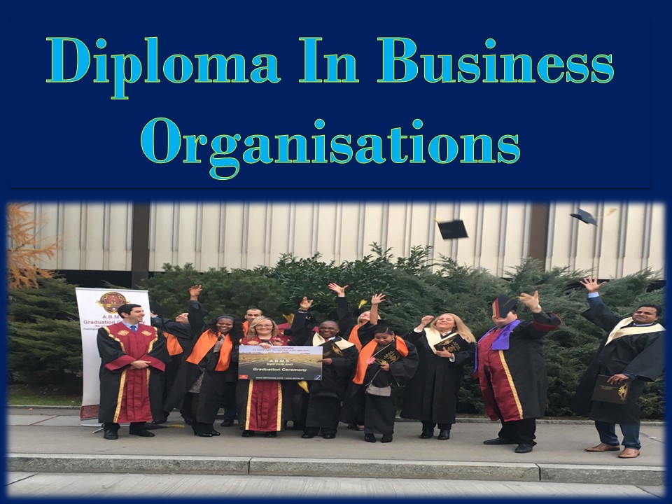 Diploma In Business Organisations