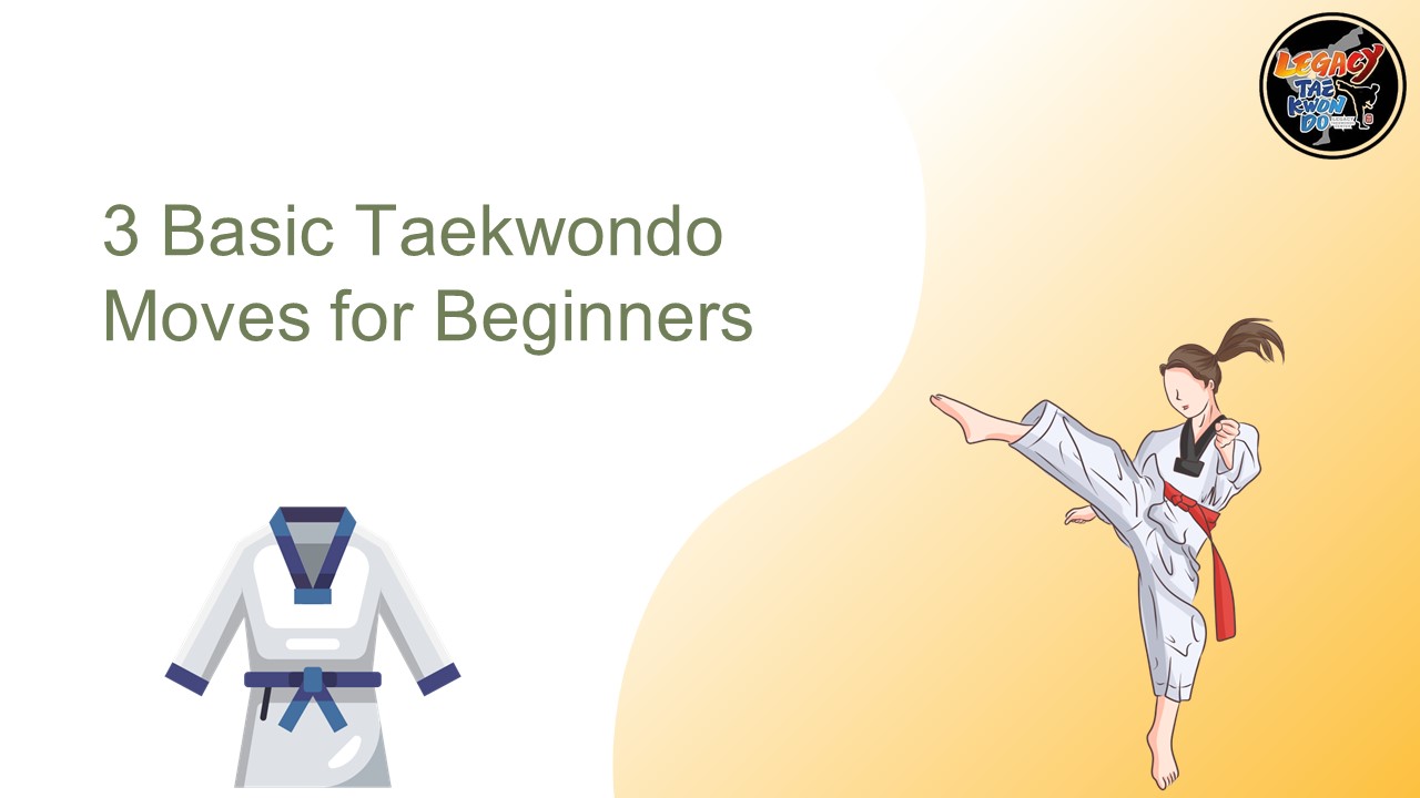 PPT 3 Basic Taekwondo Moves for Beginners PowerPoint presentation