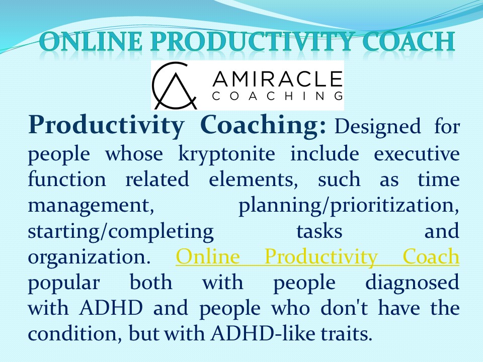 Online Productivity Coach