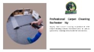 Professional Carpet Cleaning Rochester Ny
