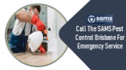 Sams Pest Control Brisbane