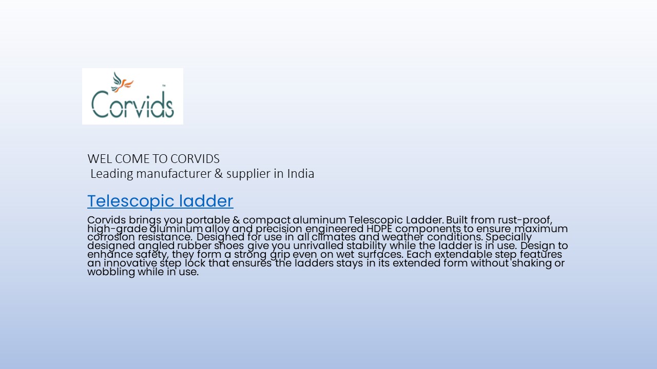 Leading Supplier of Telescopic Ladder