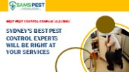 SAMS Pest Control Sydney