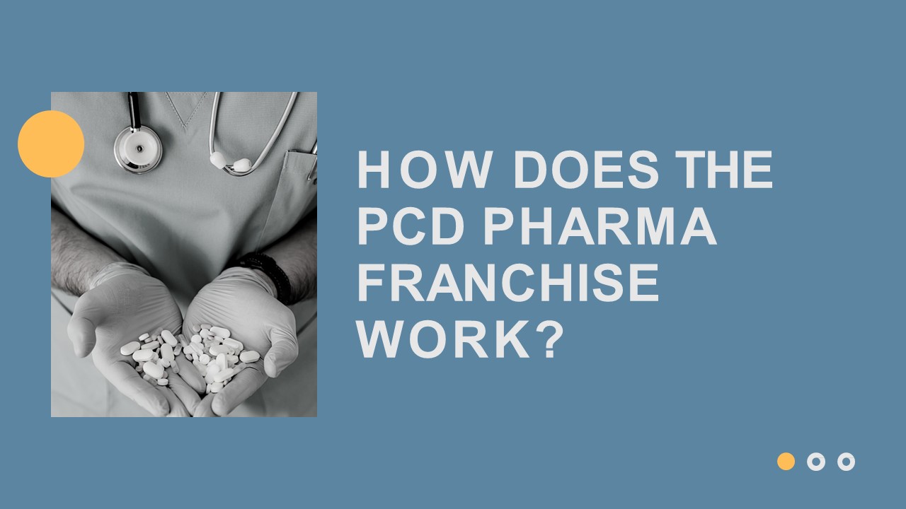 How Does the PCD Pharma Franchise Work?