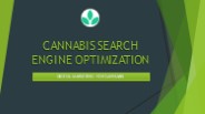 Cannabis Search Engine Optimization - CannaBud Marketing