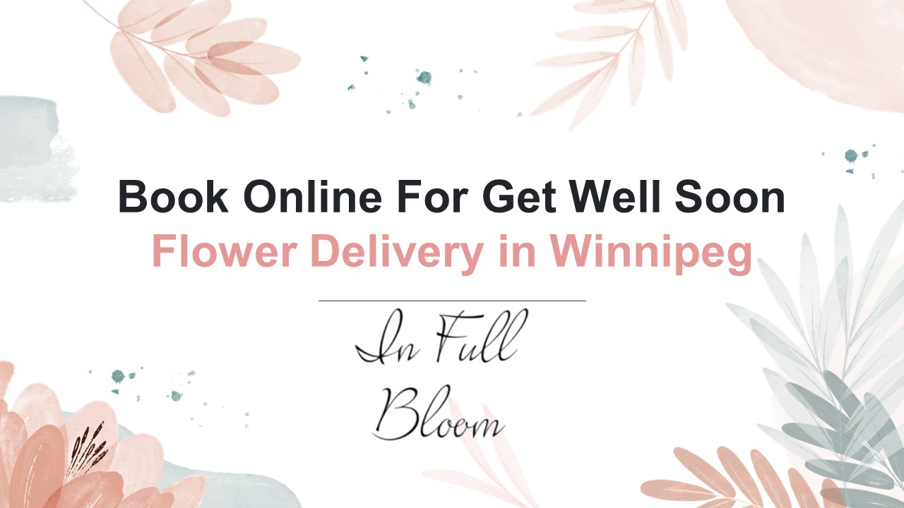 PPT Book Online For Get Well Soon Flower Delivery in Winnipeg