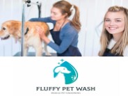 Dog cleaning Las Vegas