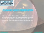 Clymore Mold Remediation