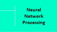 Neural Network Processing