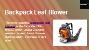 Backpack Leaf Blower