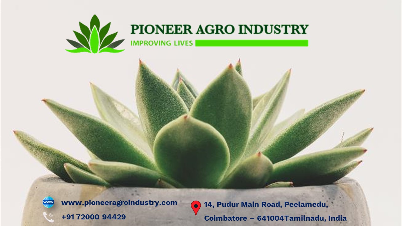 PPT Buy Vegetable seeds online Pioneer Agro Industry PowerPoint