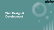 Web Design & Development