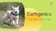 Earthgenics - Dream Digestive Enzymes for Dogs