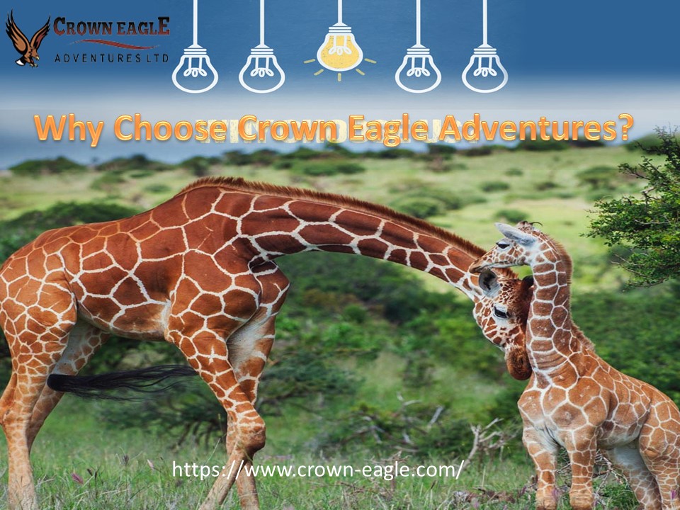 Why Choose Crown Eagle Adventures?