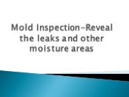 Mold-Inspection-Reveal-the-leaks-and-other0-moisture-areas
