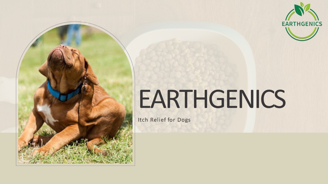 PPT Earthgenics Buy Best Itch Relief Supplements for Dogs