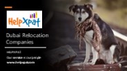 Dubai Relocation Companies  PPT