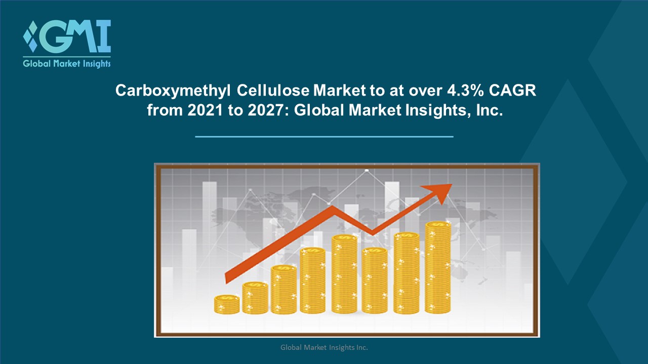 Carboxymethyl Cellulose Market Share – Industry Analysis, Key Players and Trends to 2027