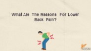What Are The Reasons For Lower Back Pain?