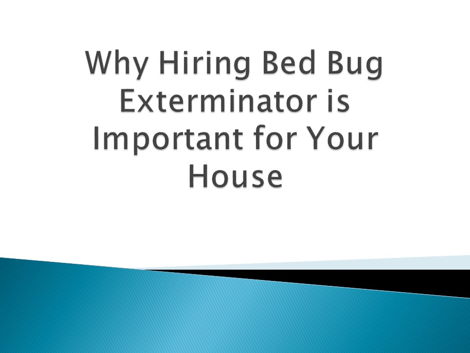 Why-Hiring-Bed-Bug-Exterminator-is-Important-for-Your-House