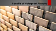Benefits of Waterproof Plywood