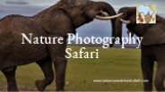 Nature Photography Safari