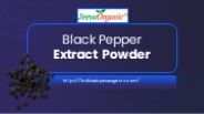 Black Pepper Extract Powder