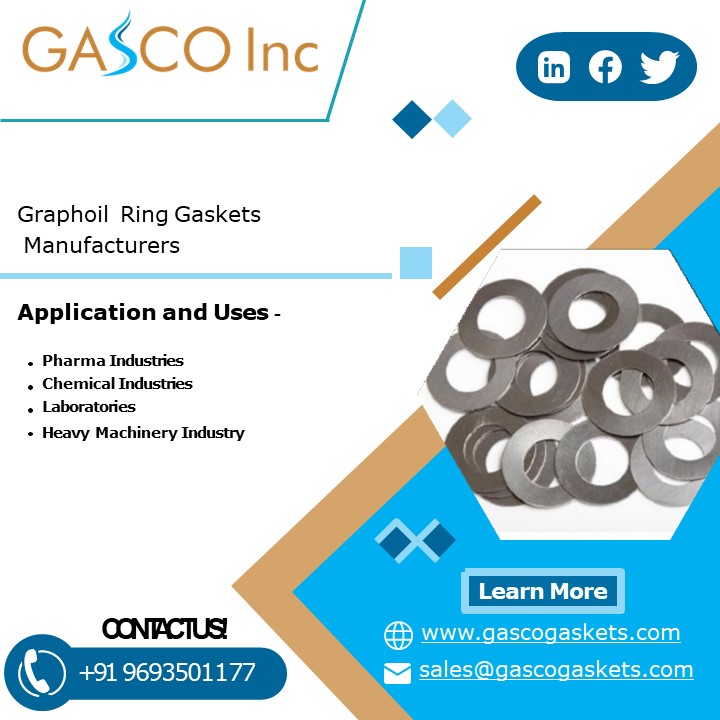 PPT GasketPTFERing Joint GasketO RingsEPDMFEPSeal RingsTFEP