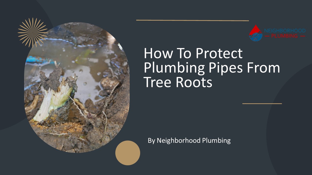 PPT How To Protect Pipes From Tree Roots PowerPoint presentation