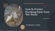 How To Protect Pipes From Tree Roots