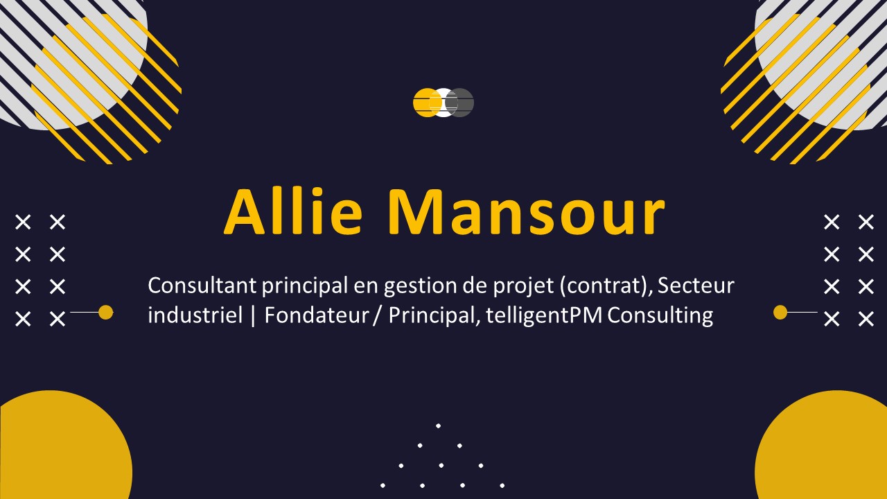 Allie Mansour - Expert remarquablement compétent