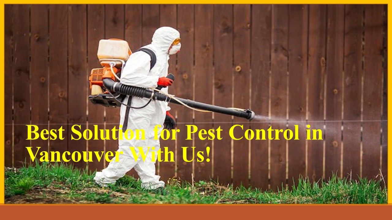 PPT Best Solution for Pest Control in Vancouver With Us! PowerPoint