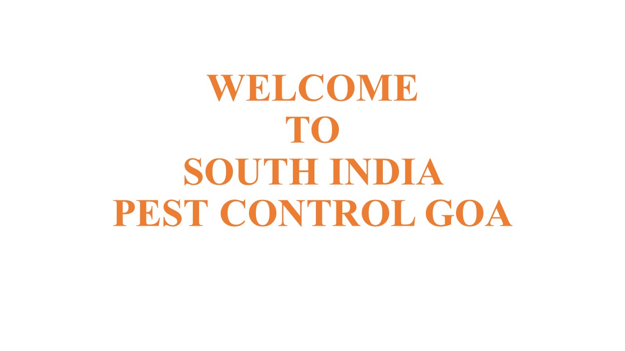 Rodent Control in Bnagalore