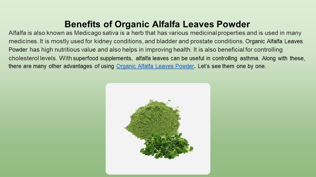 Benefits of Organic Alfalfa Leaves Powder
