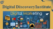 Digital Discovery Institute
