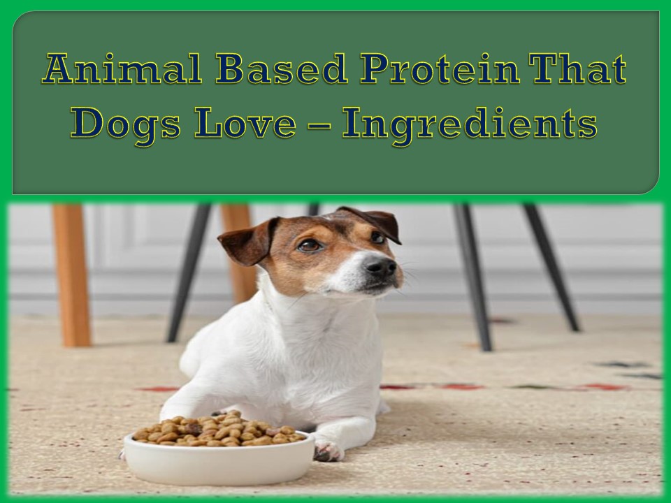 Animal Based Protein That Dogs Love – Ingredients