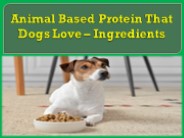 Animal Based Protein That Dogs Love – Ingredients