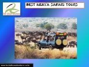 Best Kenya Safari Tours