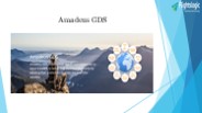 Amadeus GDS